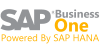 SAP Business One Hana